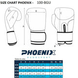 PX Boxhandschuhe schwarz-grau - Echtleder - Klettverschluss - 8 bis 16 oz