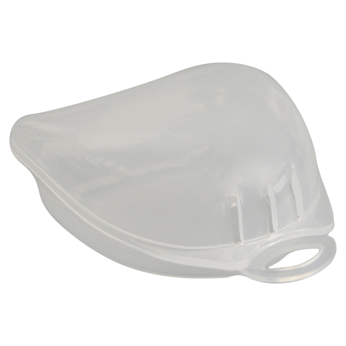 Zahnschutz Transportbox transparent, mit Aufhängehaken