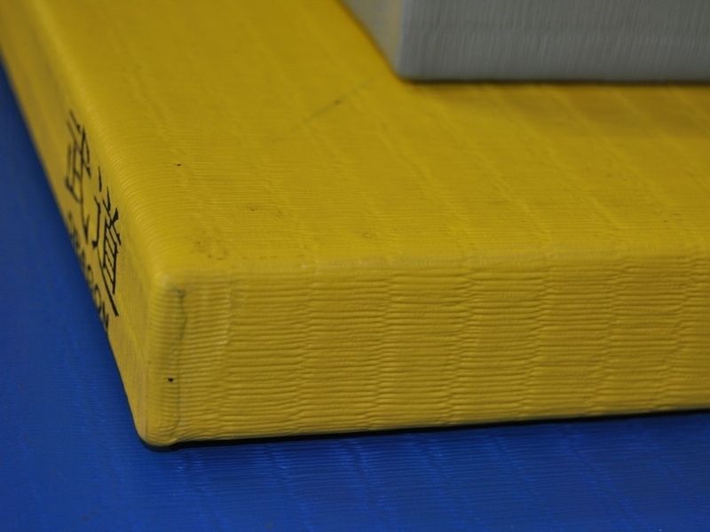 Judo Trainingsmatte DRAGON 100 x 100 x 4 cm - Judomatte Vinyl - verschiedene Farben
